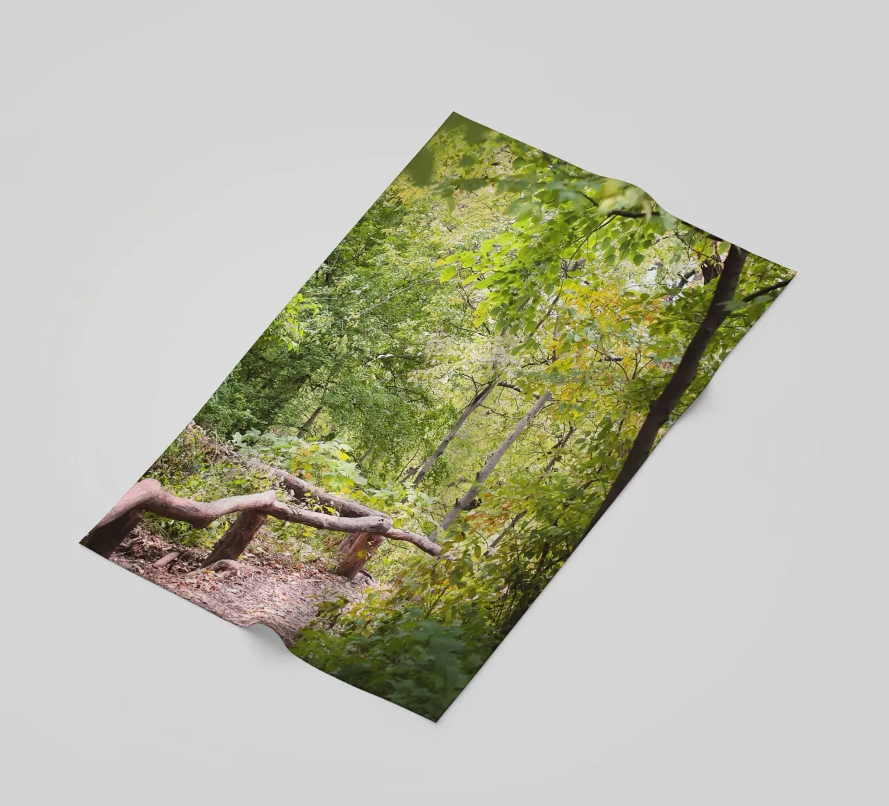 New York, USA I Una passeggiata a Central Park e in una foresta verde naturale telo mare da Julie Travel Photography
