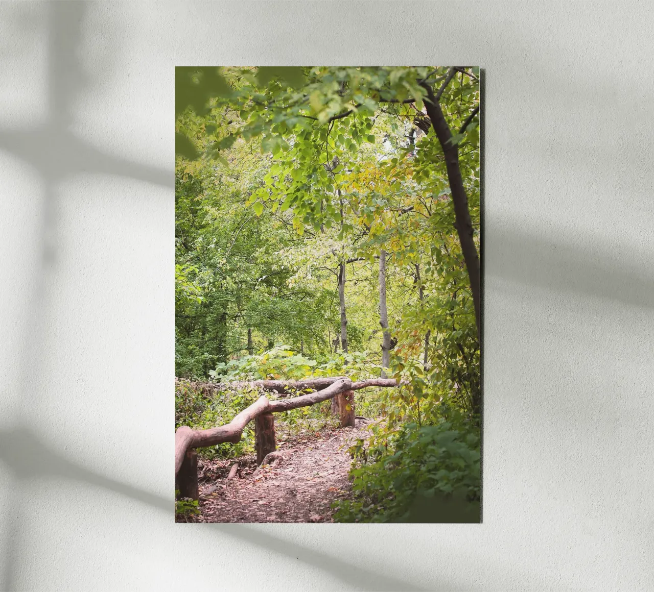 New York, USA I Una passeggiata a Central Park e in una foresta verde naturale alluminio dibond da Julie Travel Photography