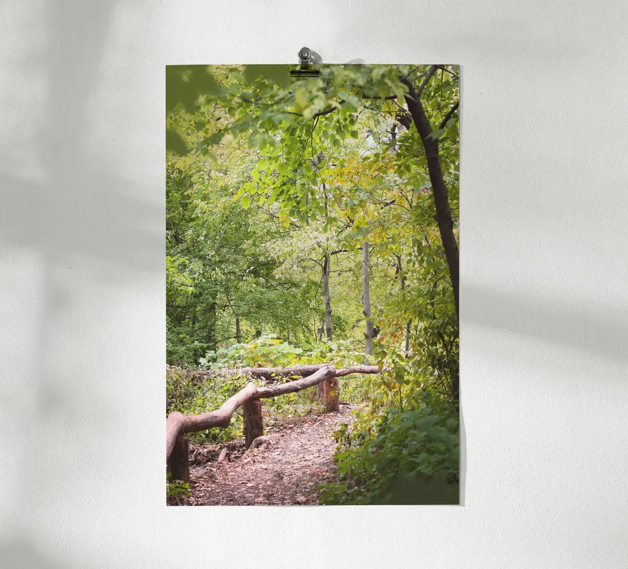 New York, USA I Una passeggiata a Central Park e in una foresta verde naturale poster con telaio in legno da Julie Travel Photography