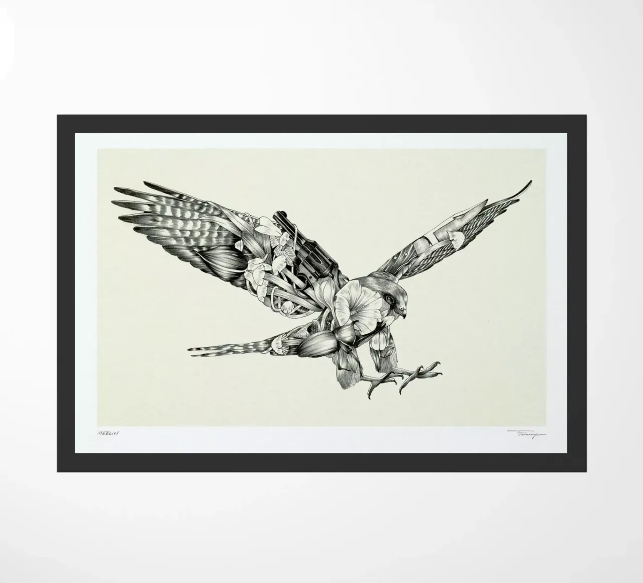 Merlin zerbino da Faunesque