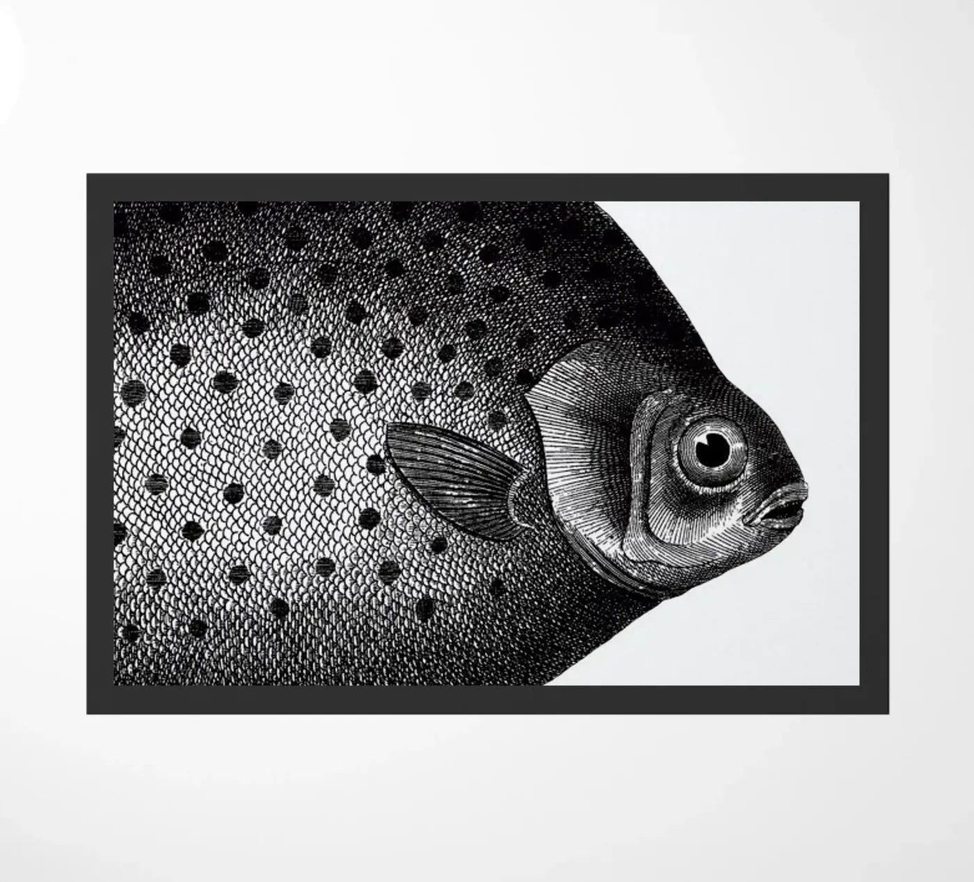 Hey Fish doormat by The Gently Unfurling Sneak