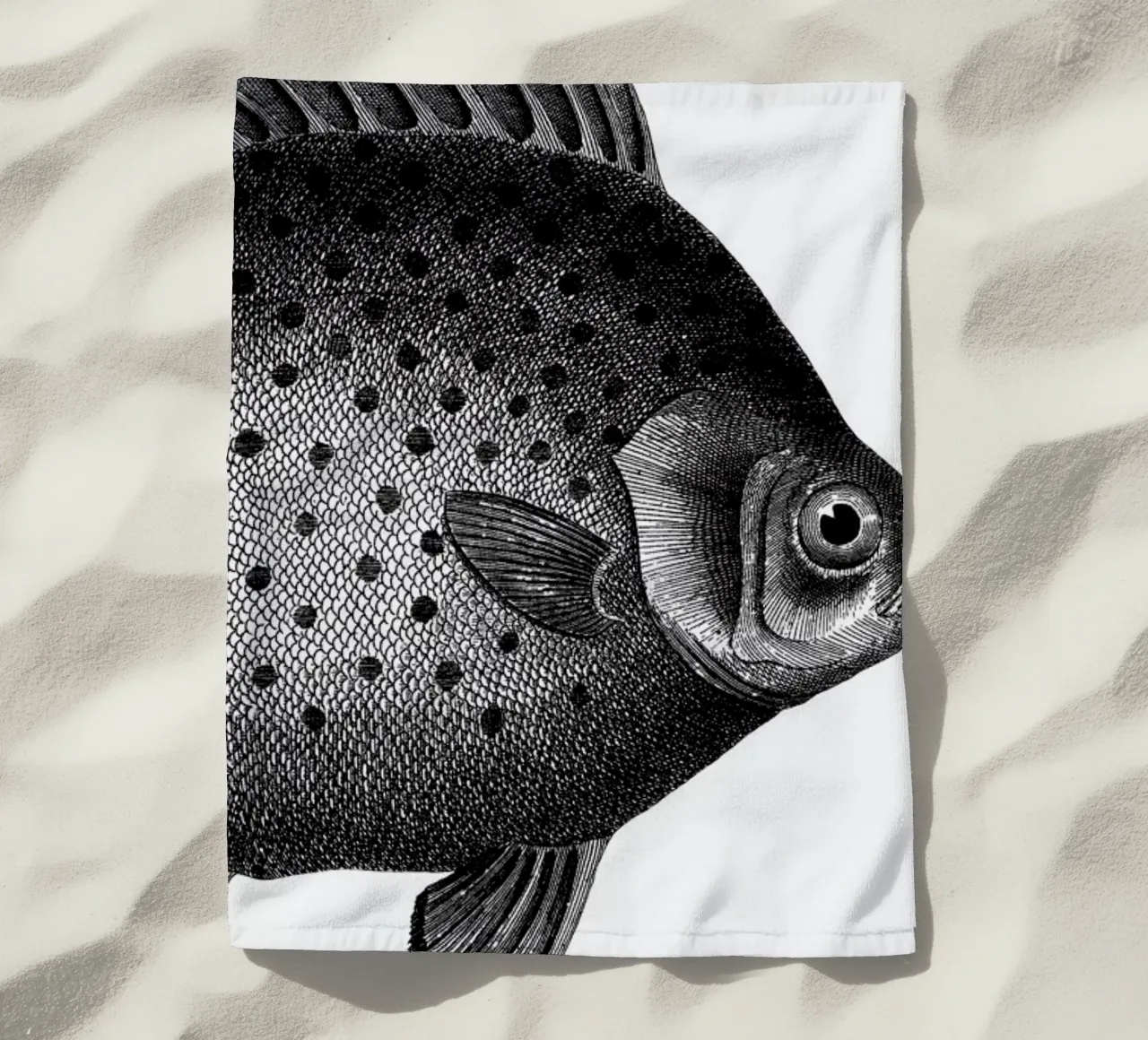 Hey Fish telo mare da The Gently Unfurling Sneak