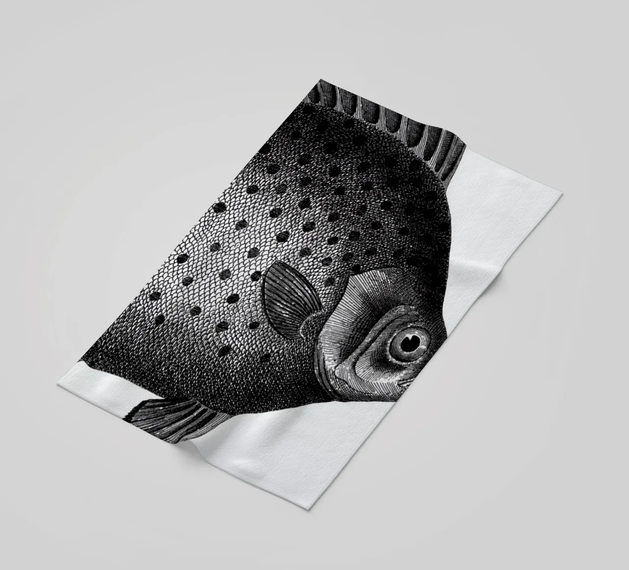 Hey Fish telo mare da The Gently Unfurling Sneak