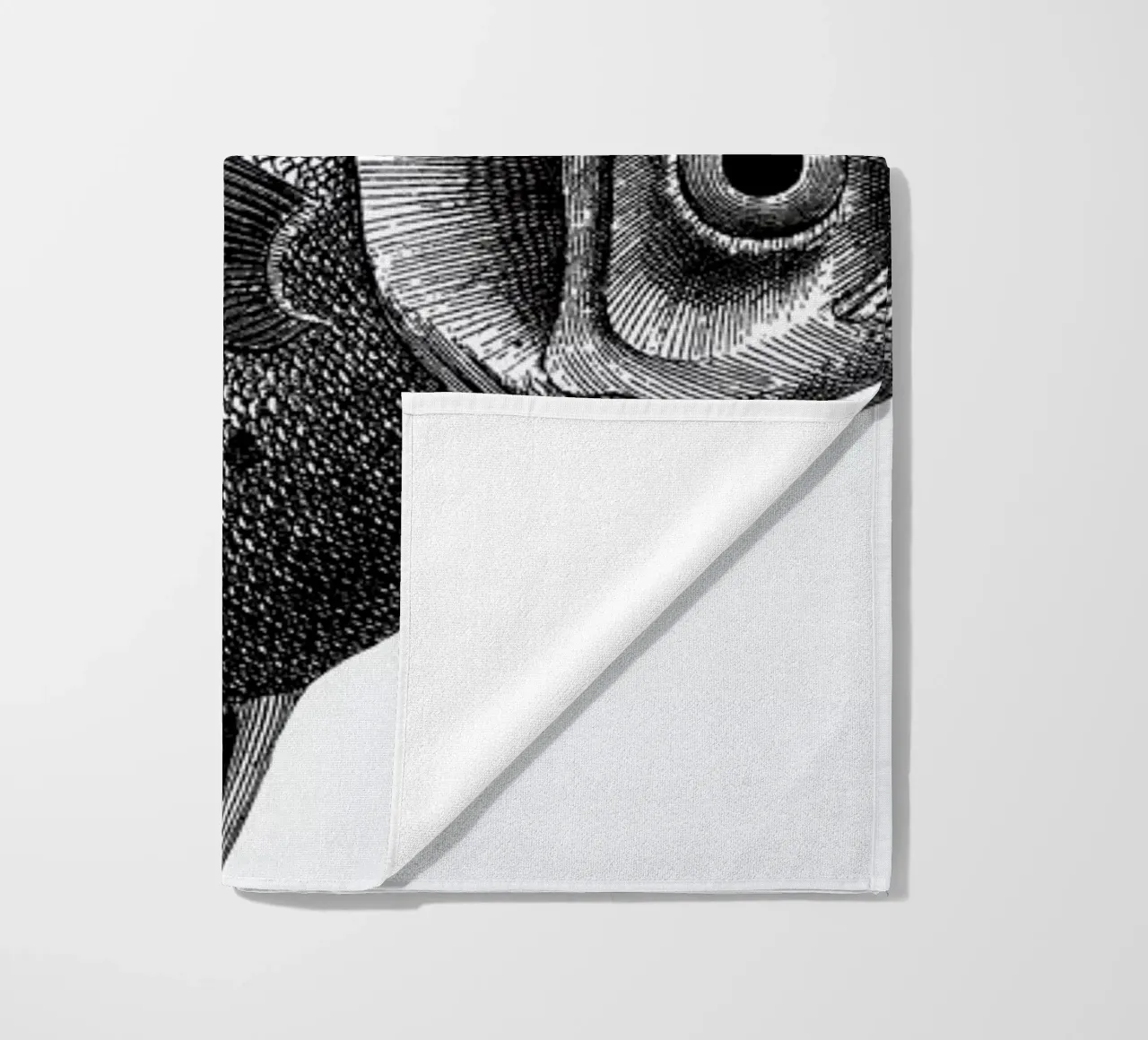 Hey Fish telo mare da The Gently Unfurling Sneak