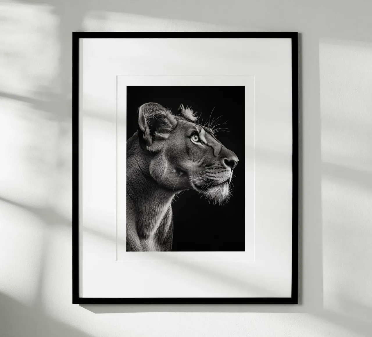Majestätisches Porträt einer Löwin Poster von Monochrome