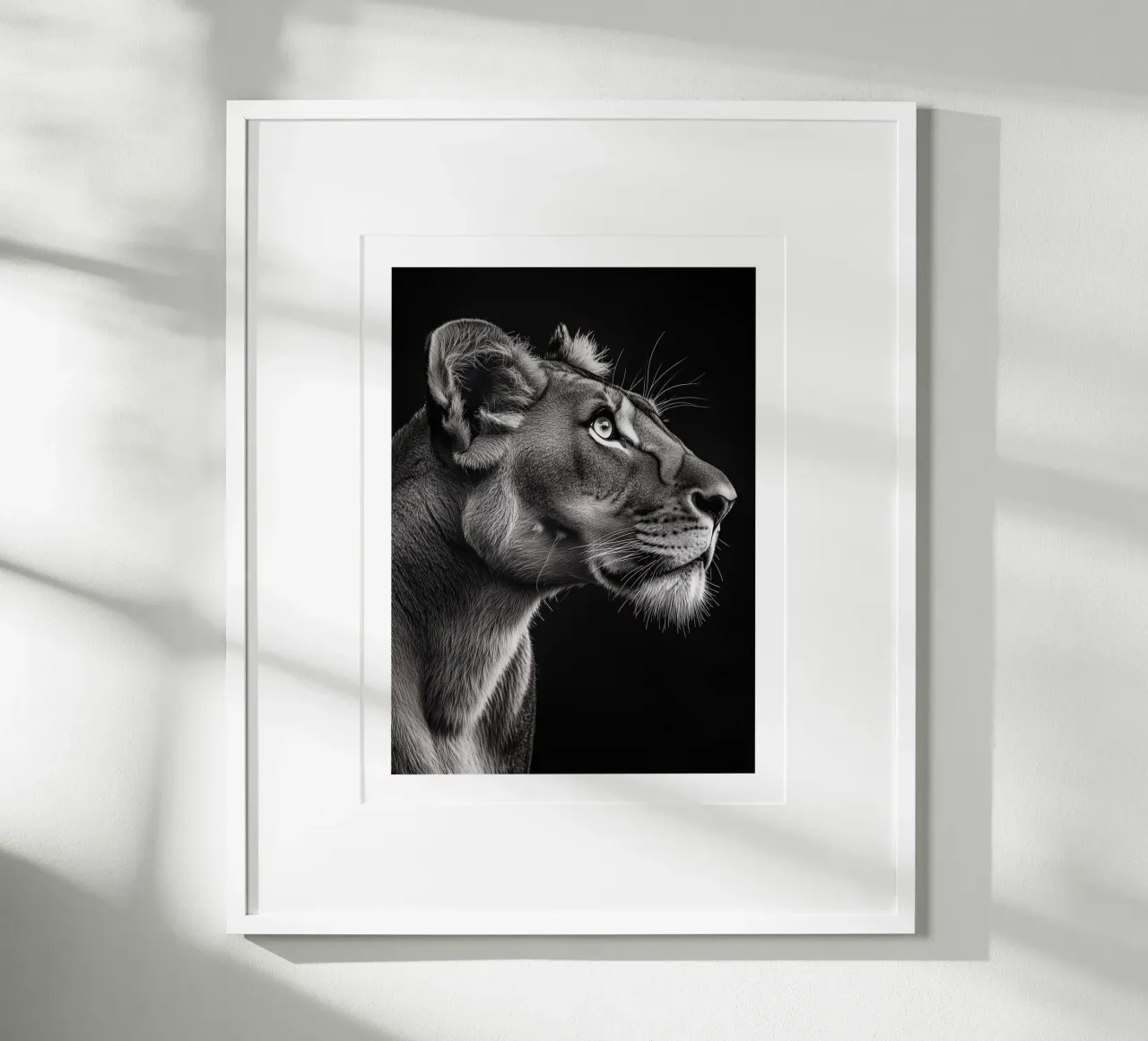 Majestätisches Porträt einer Löwin Poster von Monochrome