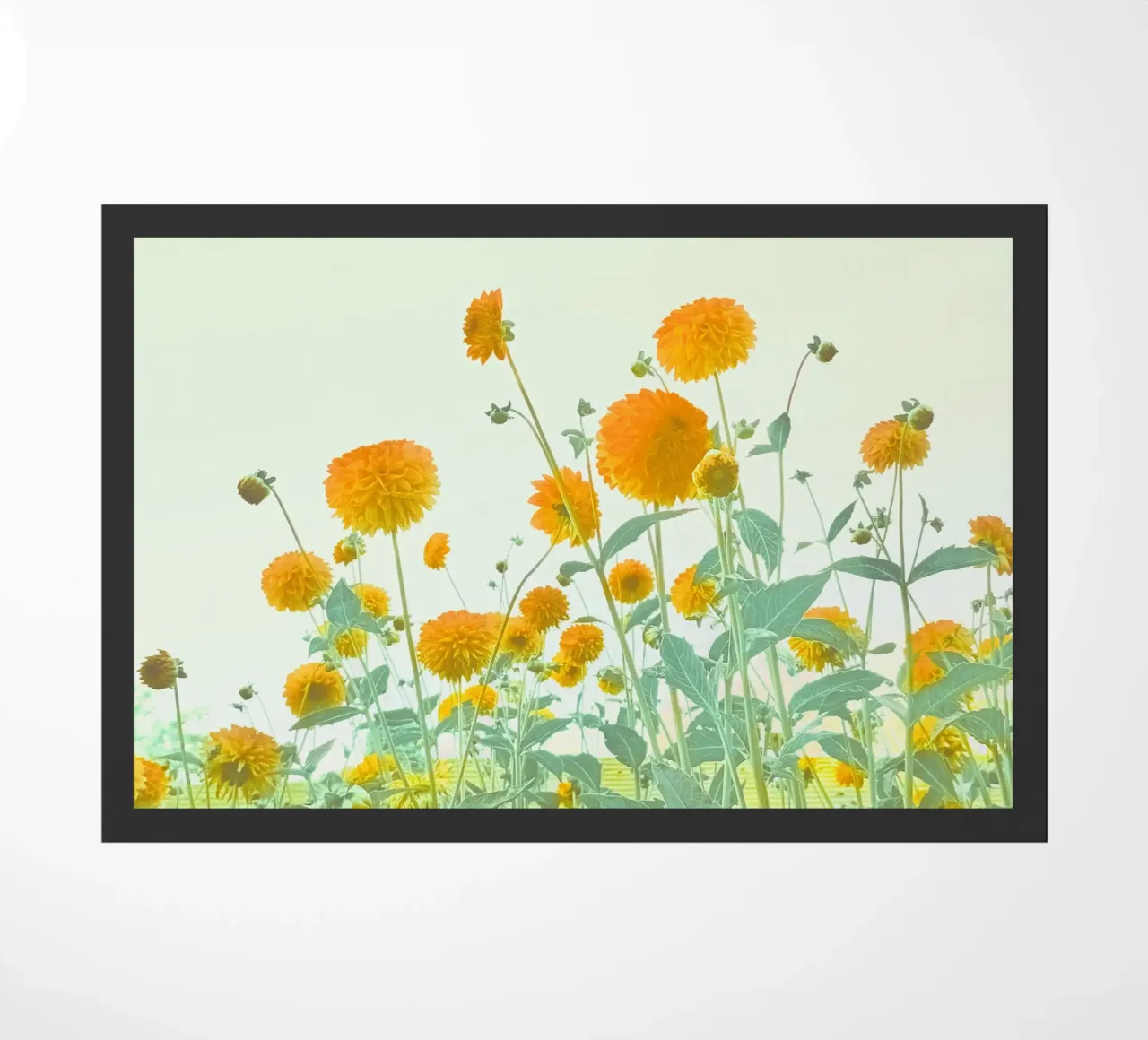 THE WORLD WITH YOU zerbino da natural neutral