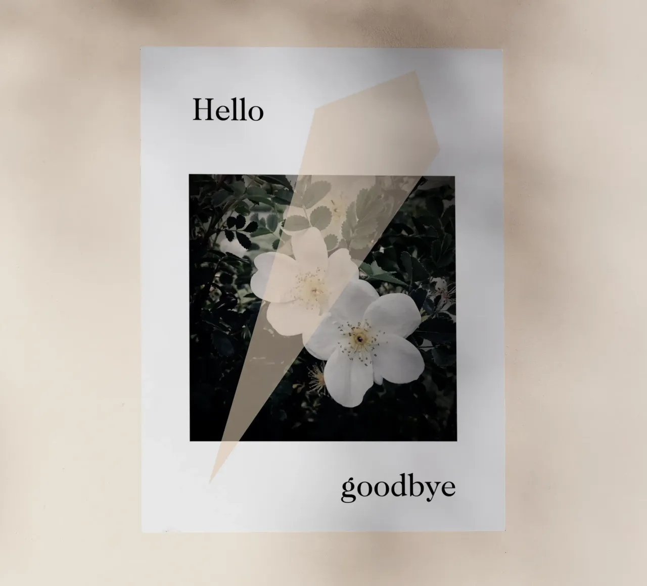 Hello goodbye pellicola backlit da natural neutral