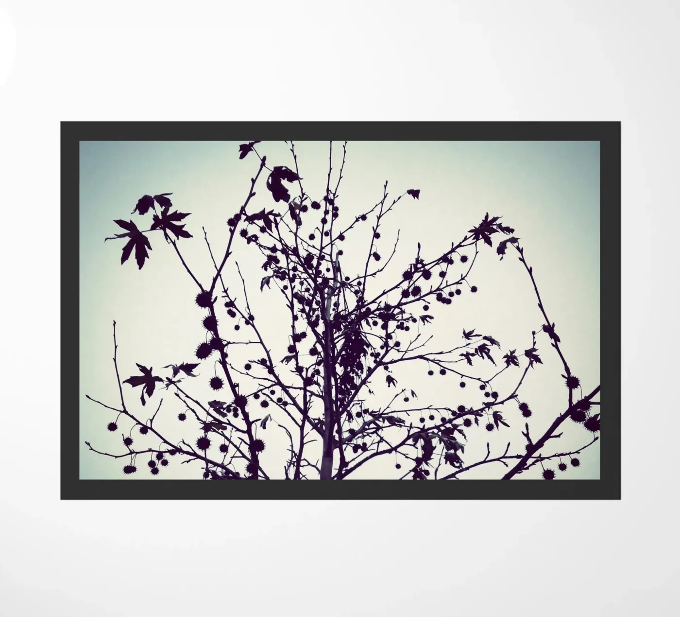 HOPE TREE zerbino da natural neutral