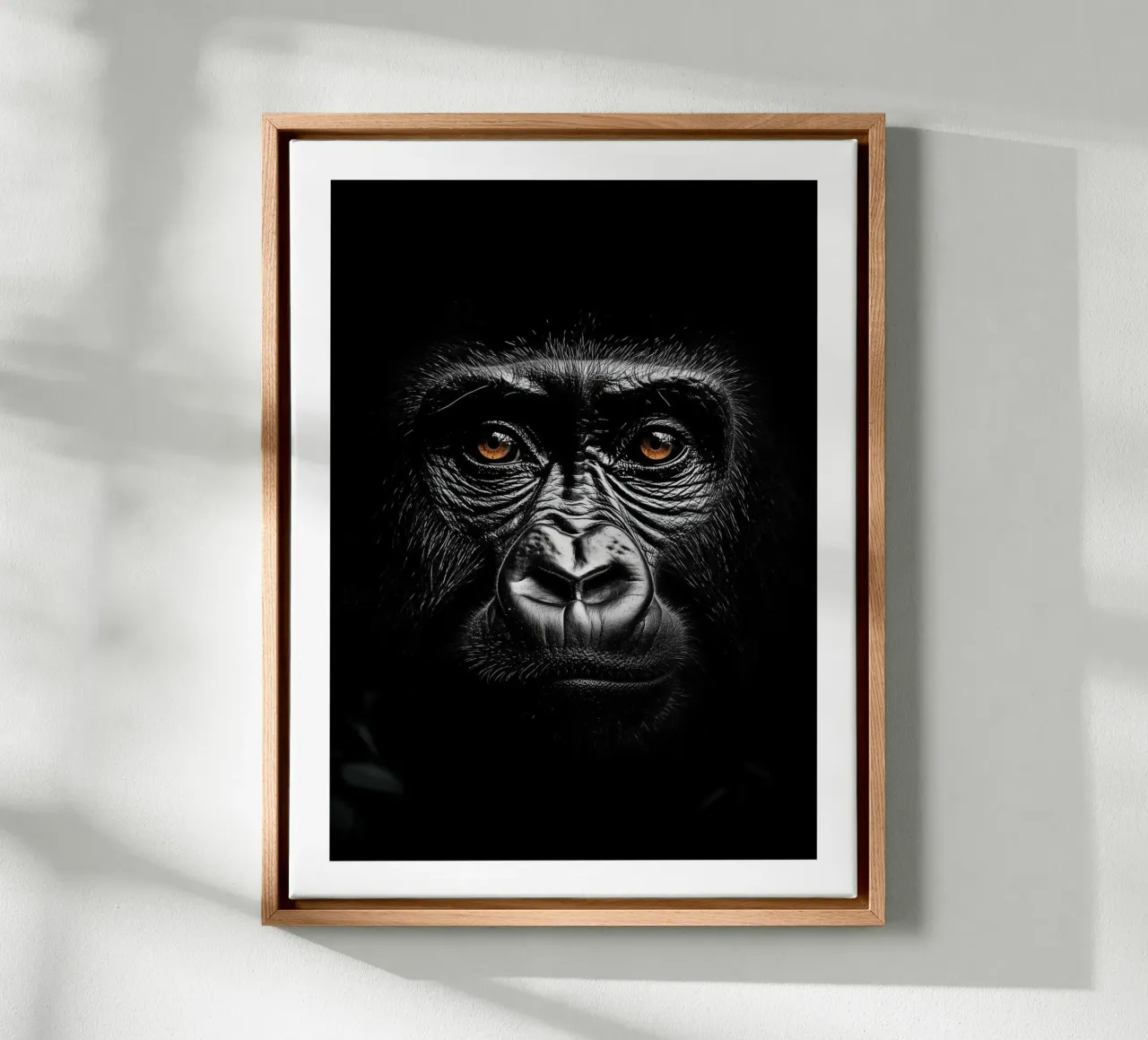 Captivating portrait of a gorilla canvas with Floater frame by Monochrome