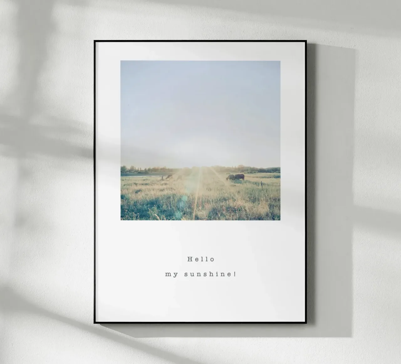 Hello, my sunshine! plexiglass da natural neutral