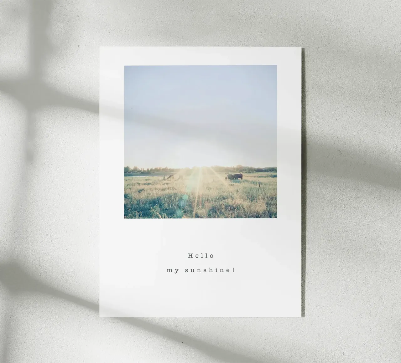 Hello, my sunshine! plexiglass da natural neutral