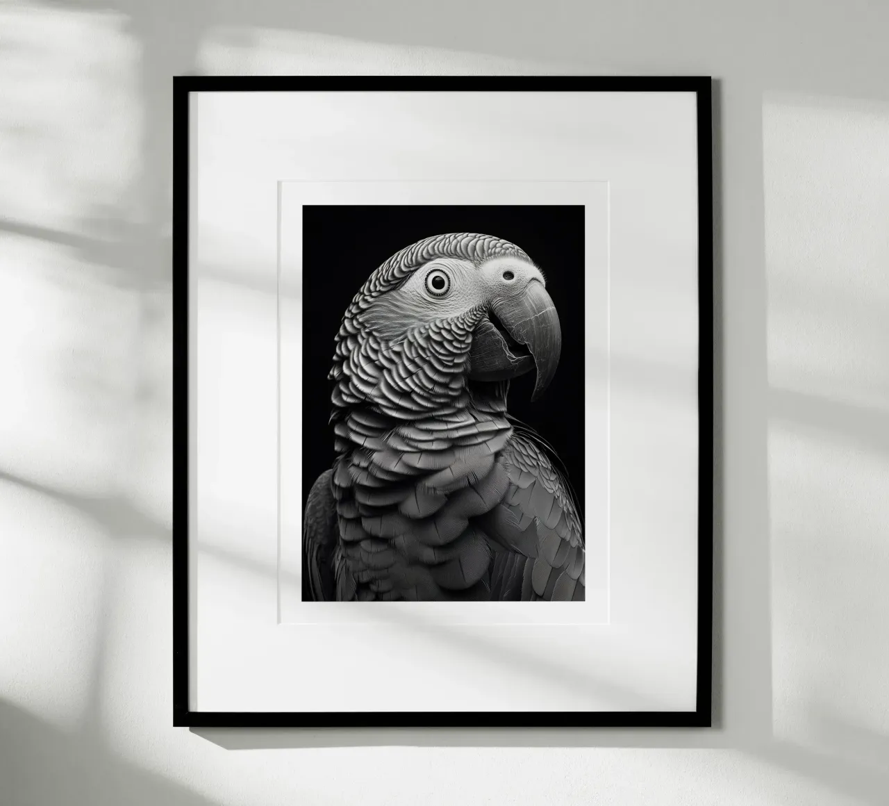 Ritratto di un pappagallo grigio del Gabon poster con telaio in alluminio da Monochrome