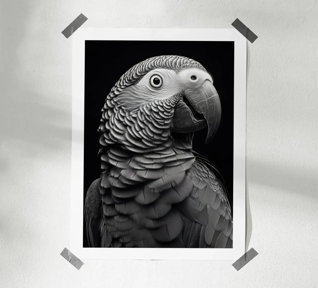Ritratto di un pappagallo grigio del Gabon poster con telaio in alluminio da Monochrome
