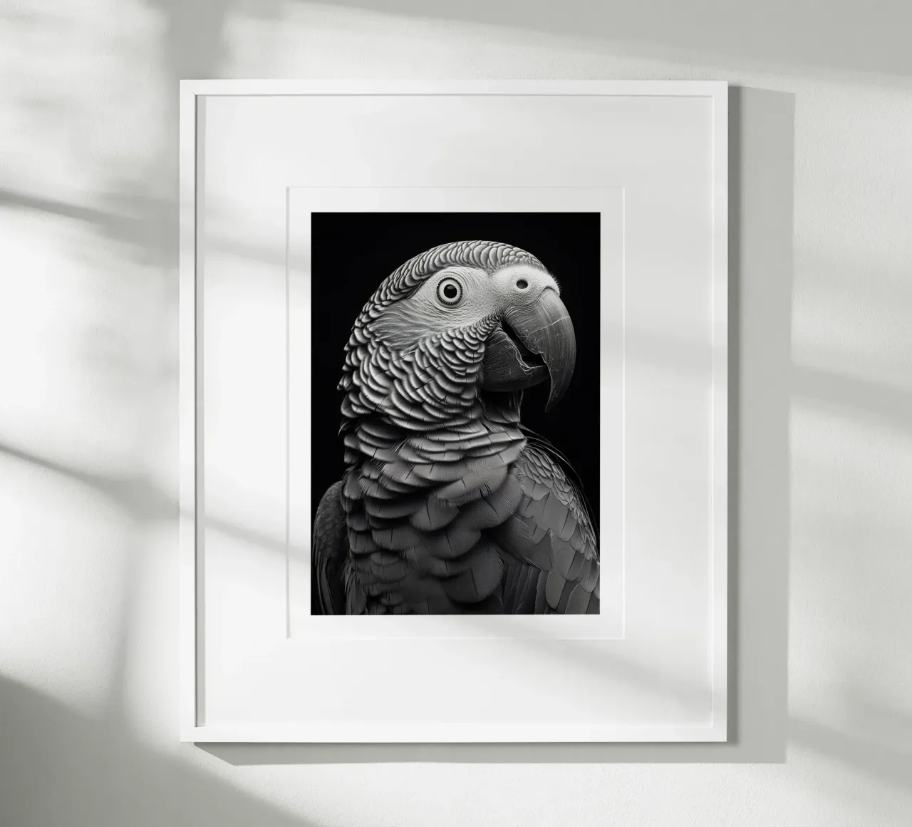 Ritratto di un pappagallo grigio del Gabon poster con telaio in alluminio da Monochrome