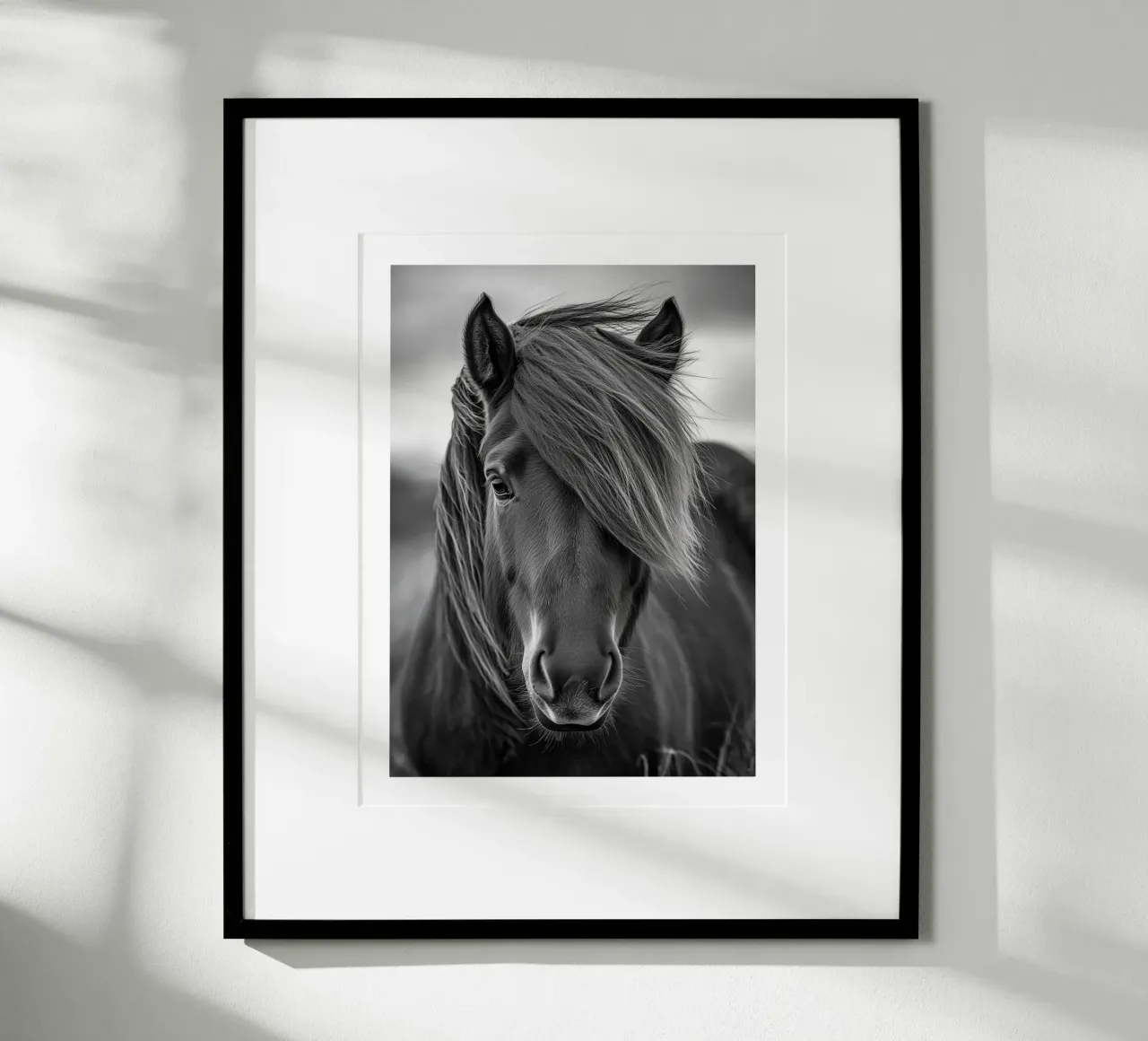 Elegante ritratto di un cavallo islandese poster con telaio in plastica da Monochrome
