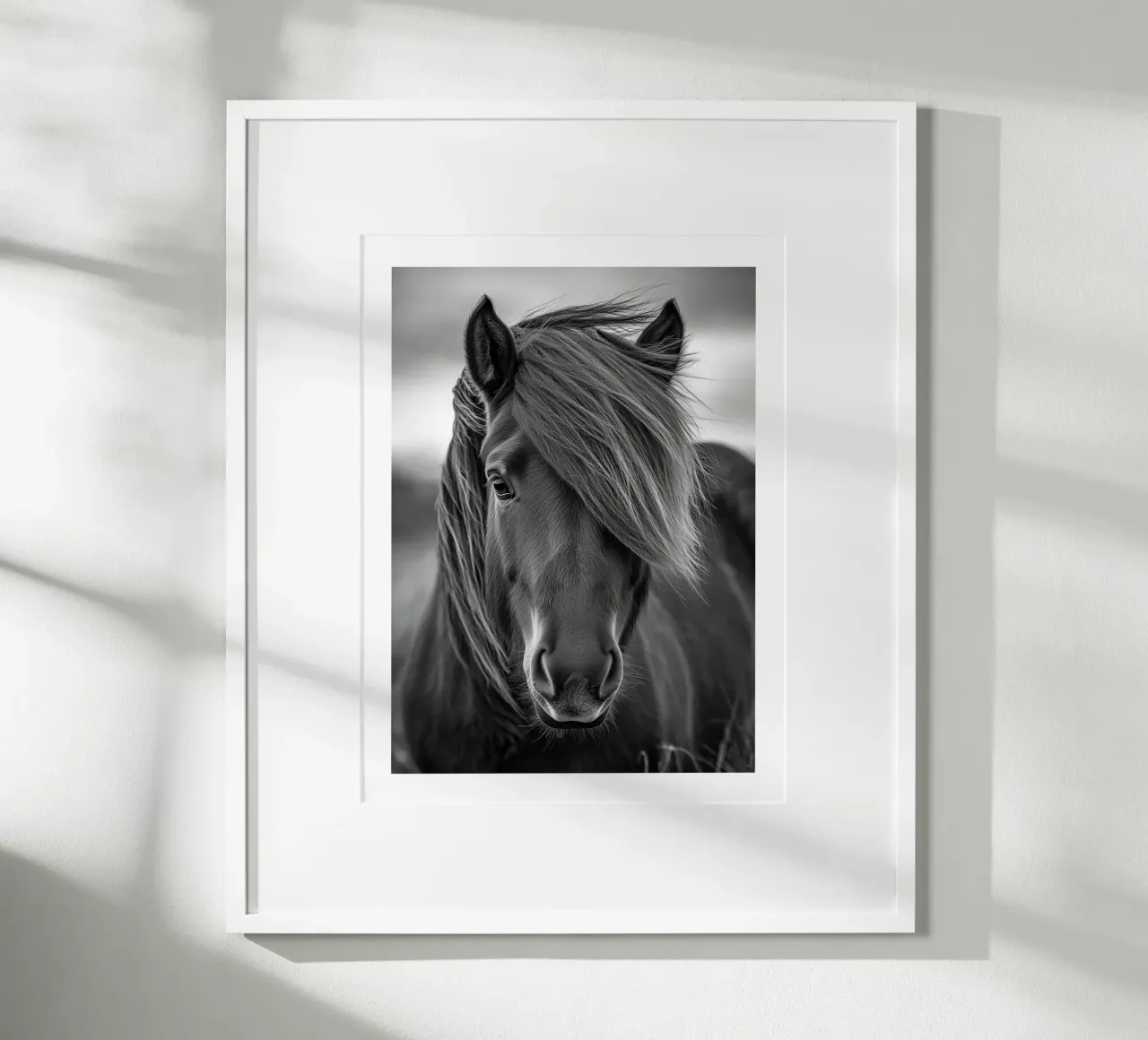 Elegante ritratto di un cavallo islandese poster con telaio in plastica da Monochrome