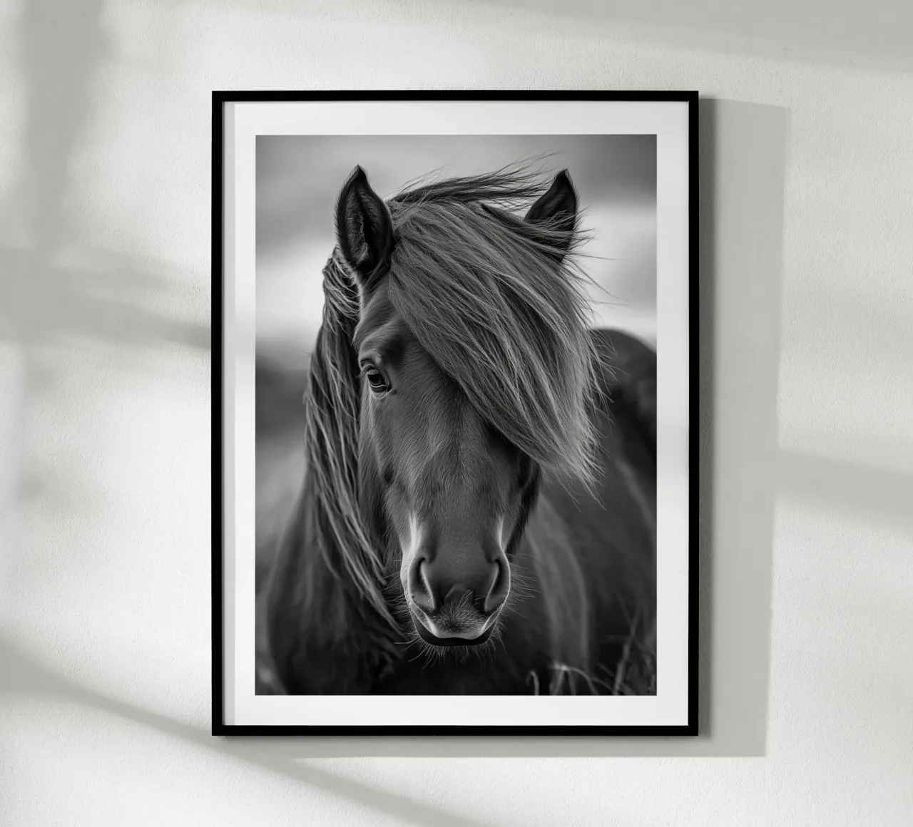 Elegante ritratto di un cavallo islandese poster con telaio in plastica da Monochrome