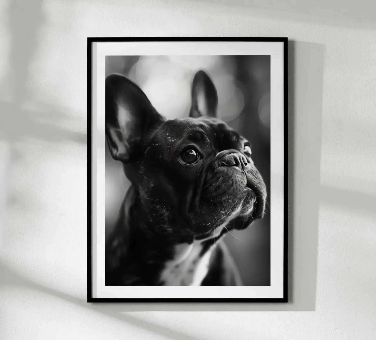 Elegante ritratto di un bulldog francese carta hahnemühle da Monochrome