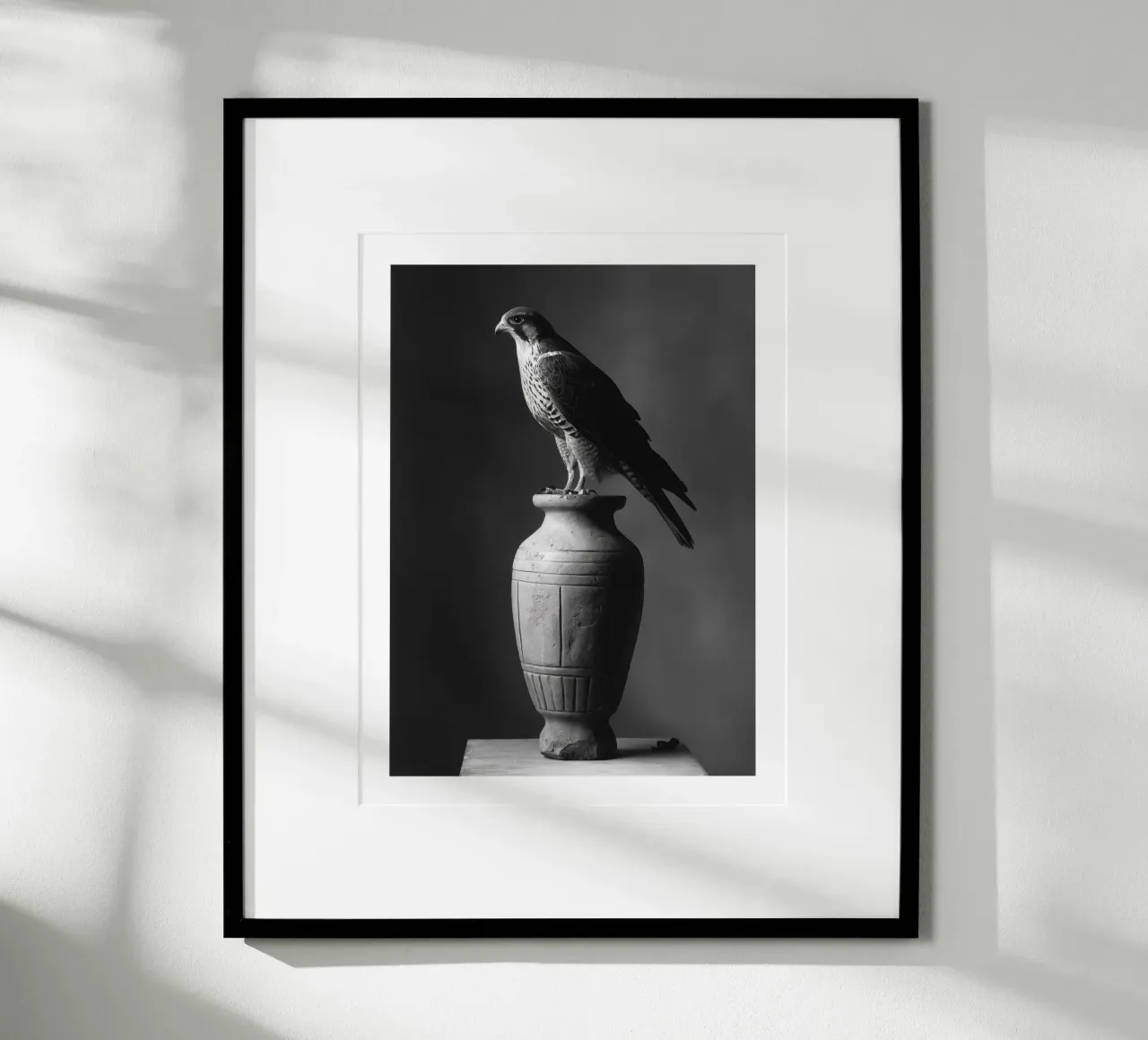 Maestoso falco su vaso poster con telaio in plastica da Monochrome