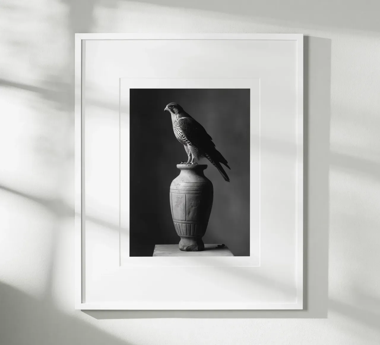 Maestoso falco su vaso poster con telaio in plastica da Monochrome