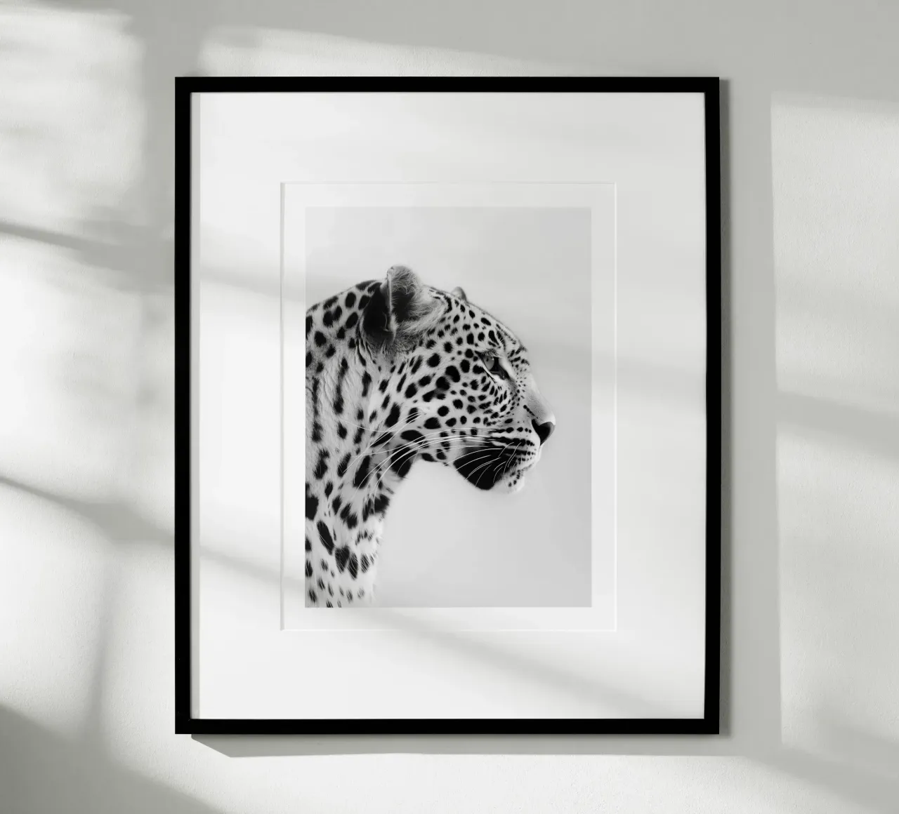 Elegante ritratto di leopardo poster con telaio in plastica da Monochrome