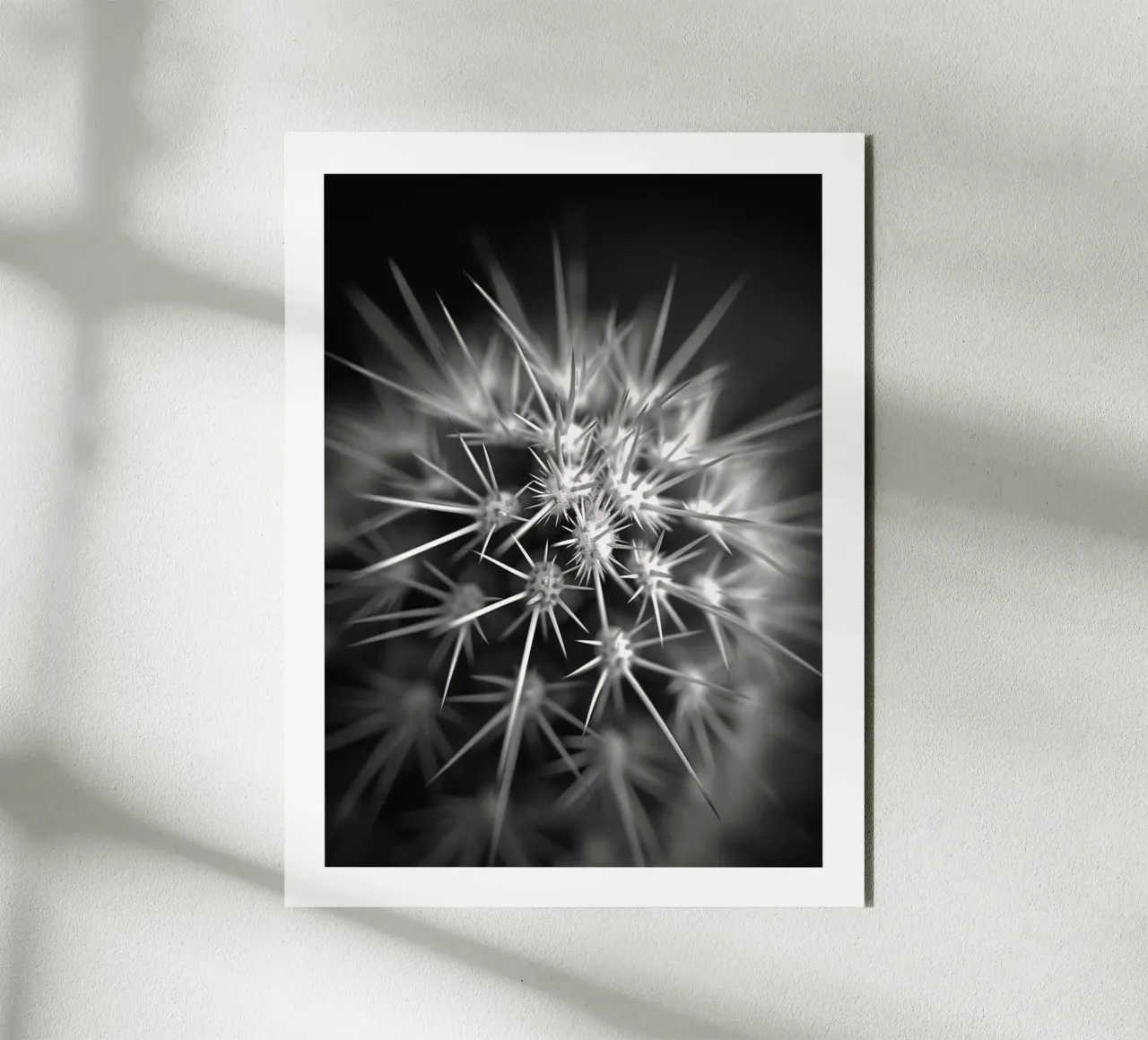 Un'esplosione di cactus alluminio dibond da Monochrome