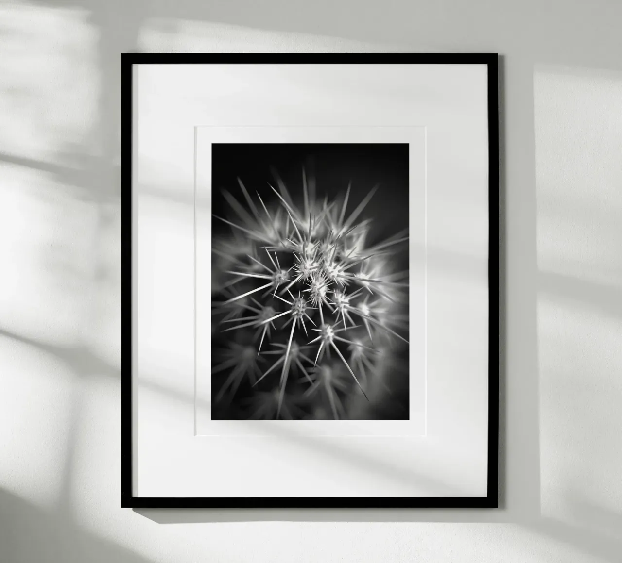 Un'esplosione di cactus carta hahnemühle da Monochrome