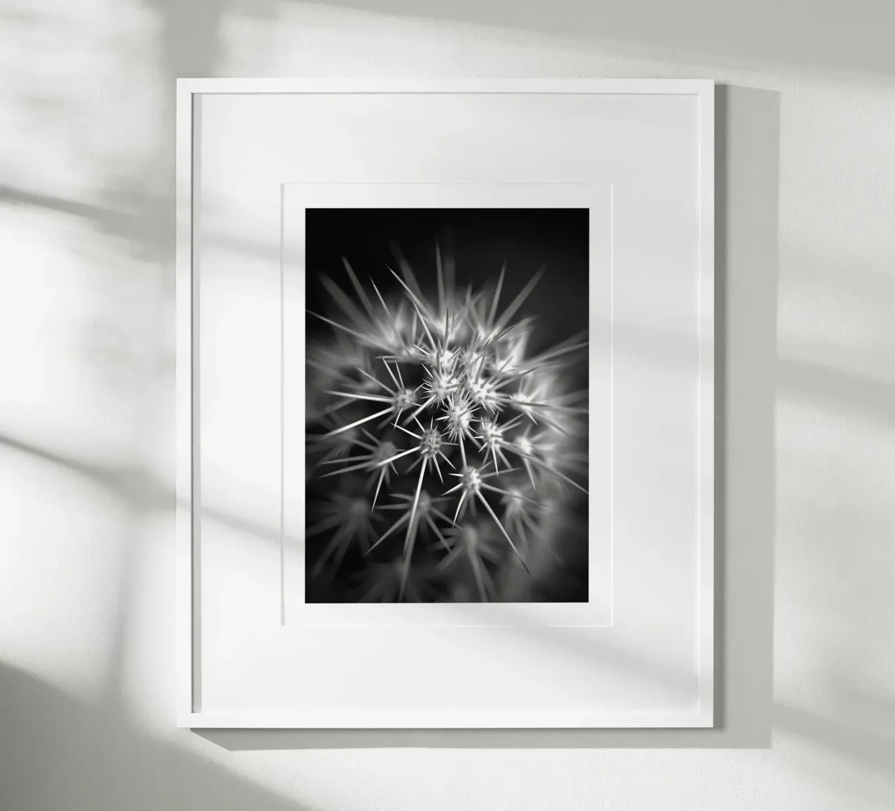 Un'esplosione di cactus carta hahnemühle da Monochrome