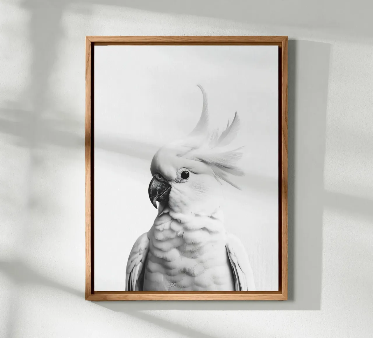 Coco Carino il cacatua alluminio dibond da Carinaprint