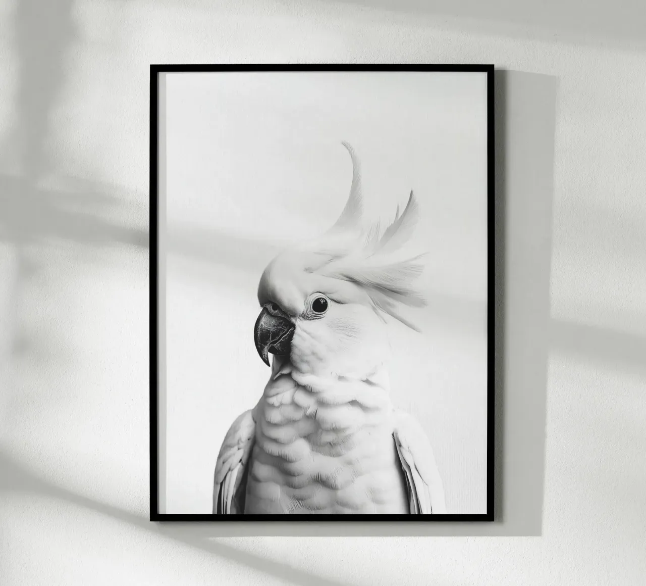 Coco Carino il cacatua carta hahnemühle da Carinaprint