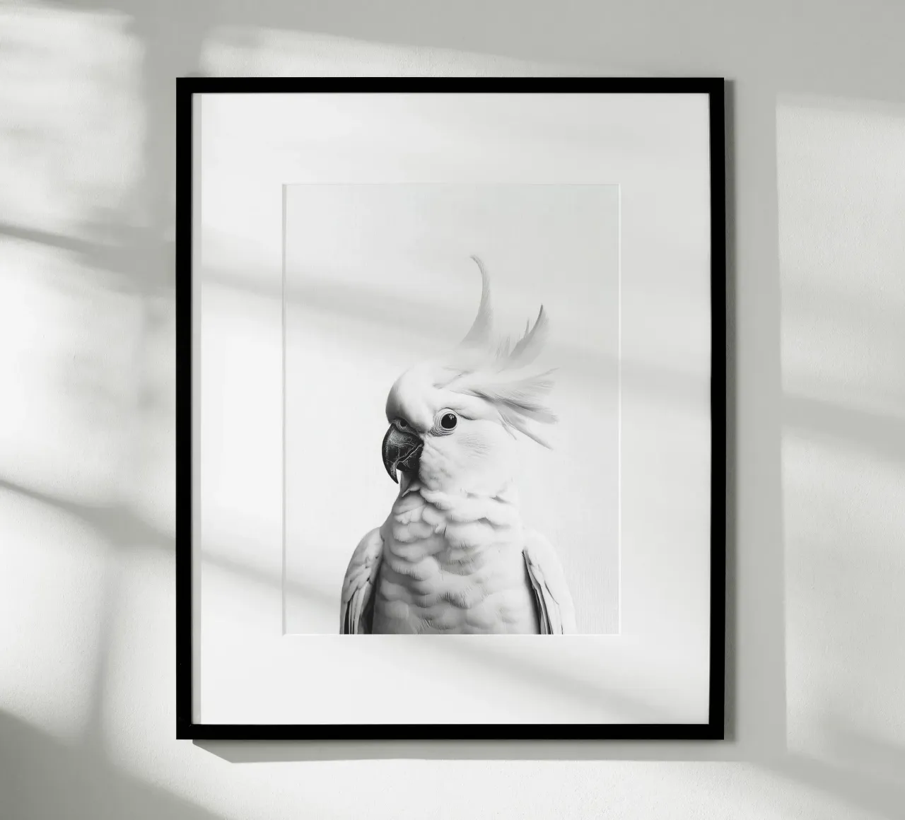 Coco Carino il cacatua carta hahnemühle da Carinaprint