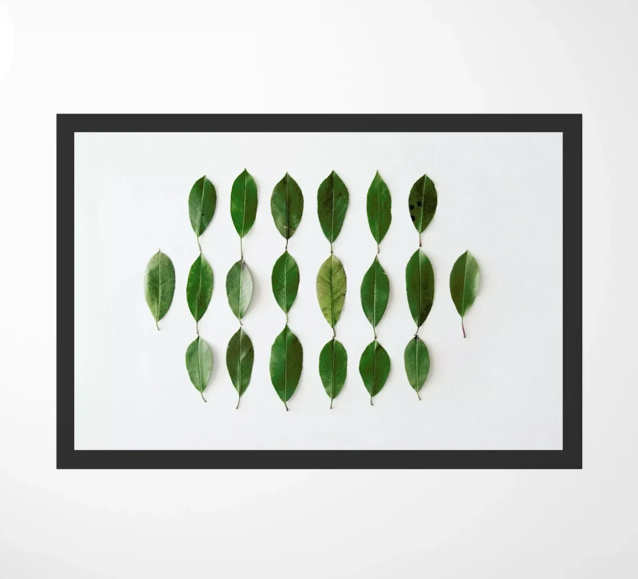 Leaves Collection N2 zerbino da Miles of Light