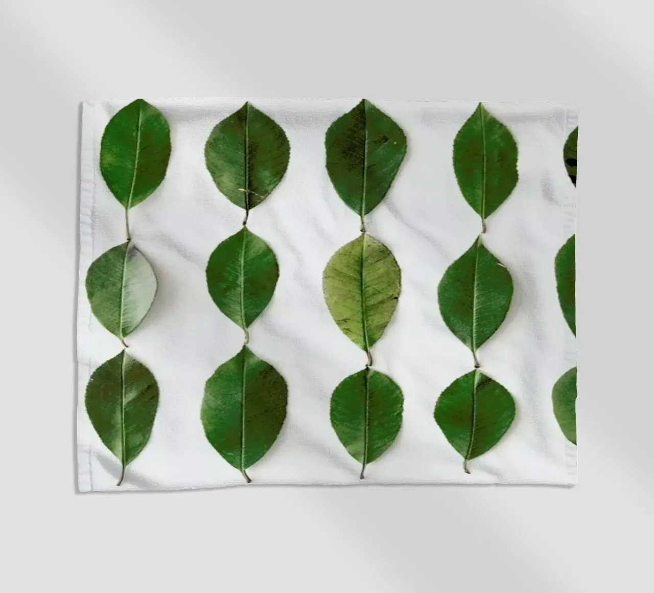 Leaves Collection N2 telo mare da Miles of Light