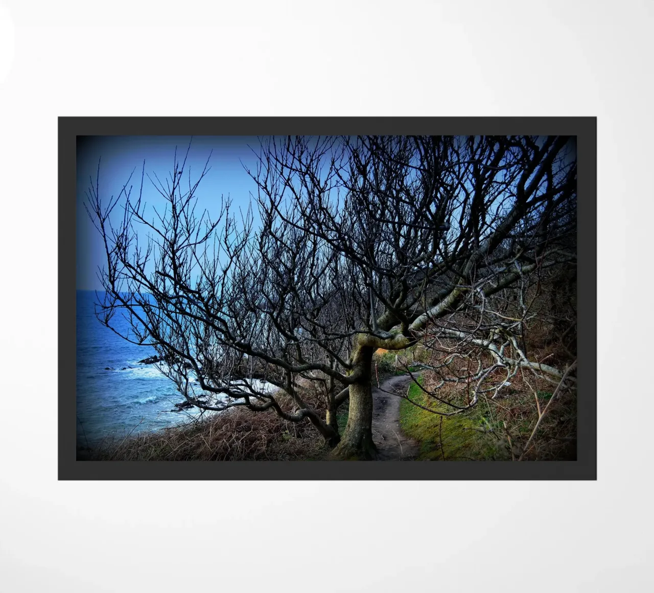 FAA161 doormat by Thierry vobmann photography