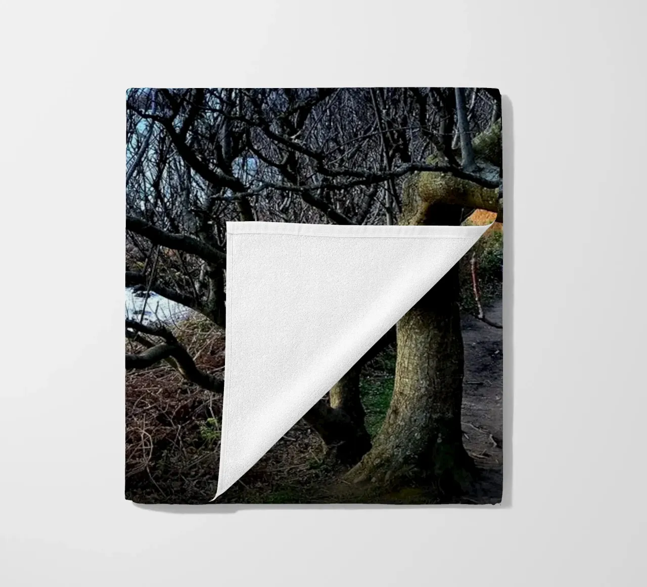 FAA161 telo mare da Thierry vobmann photography