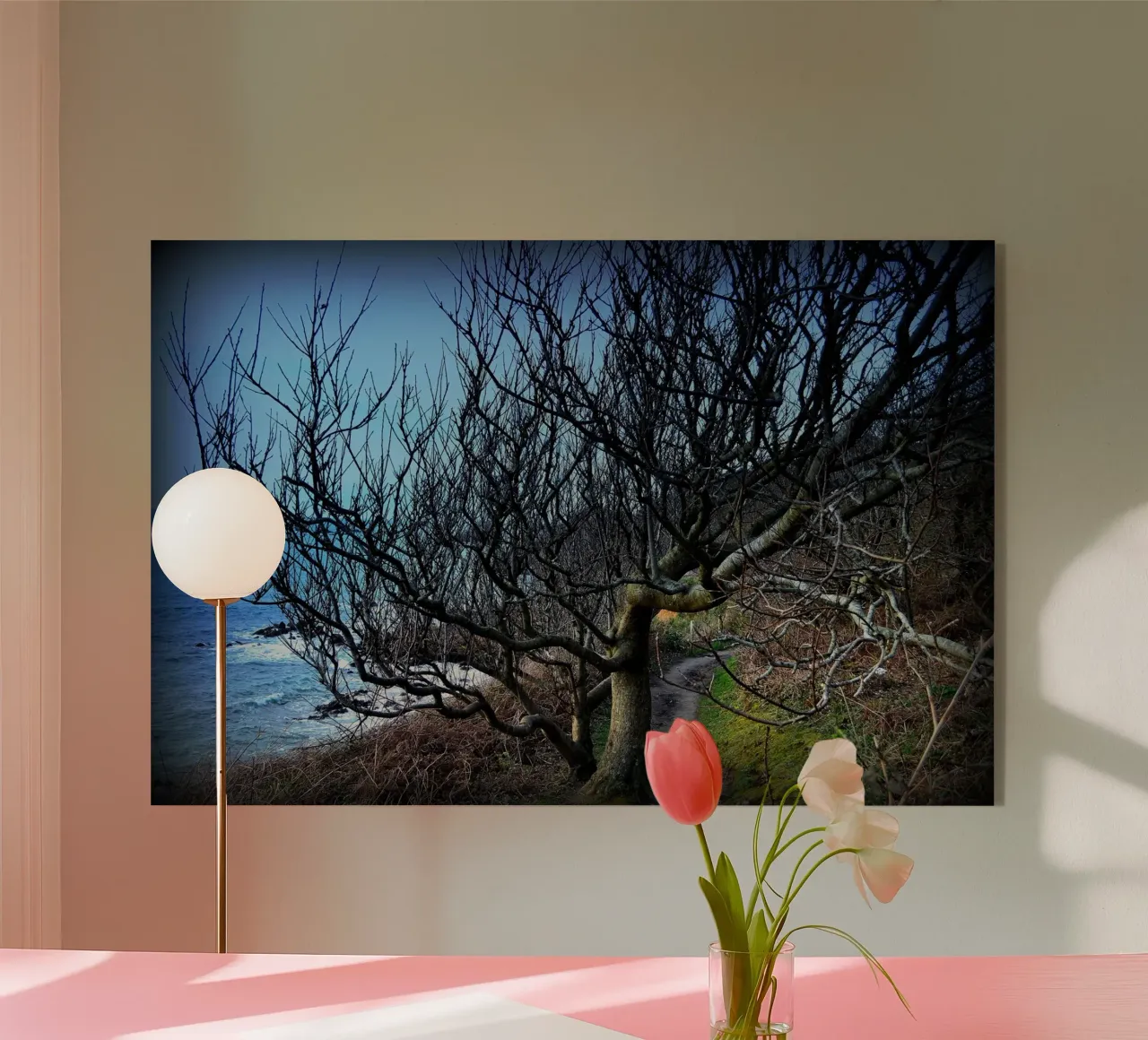 FAA161 plexiglass da Thierry vobmann photography