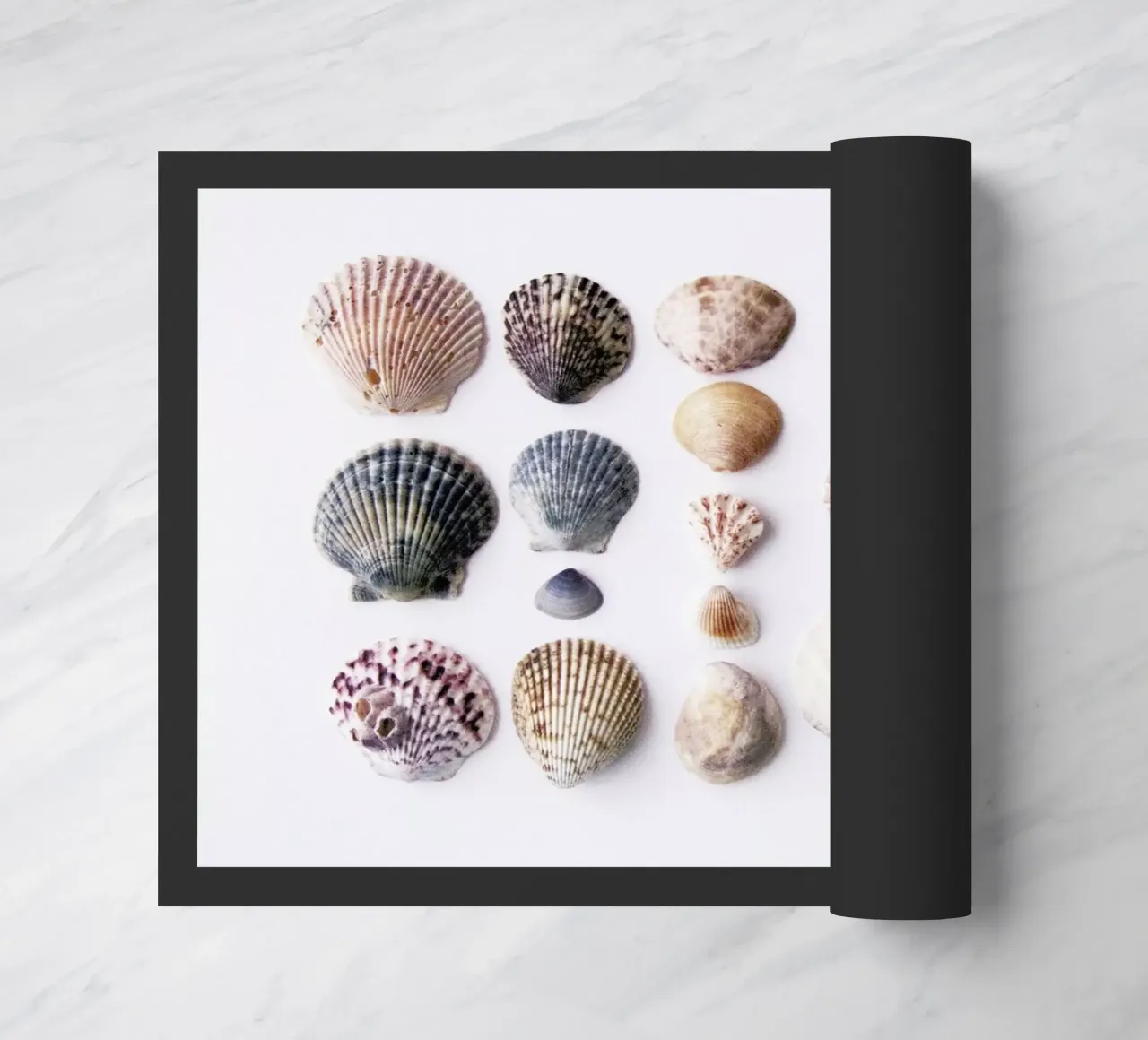 Marina zerbino da Miles of Light