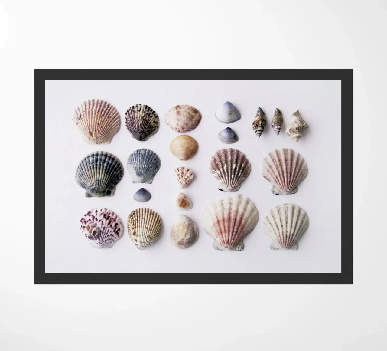 Marina zerbino da Miles of Light