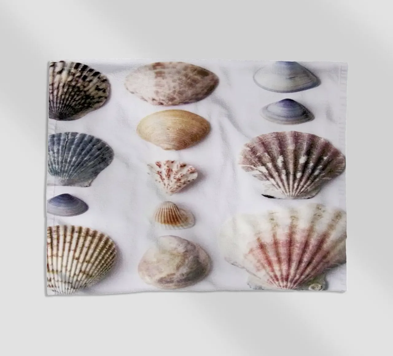 Marina telo mare da Miles of Light