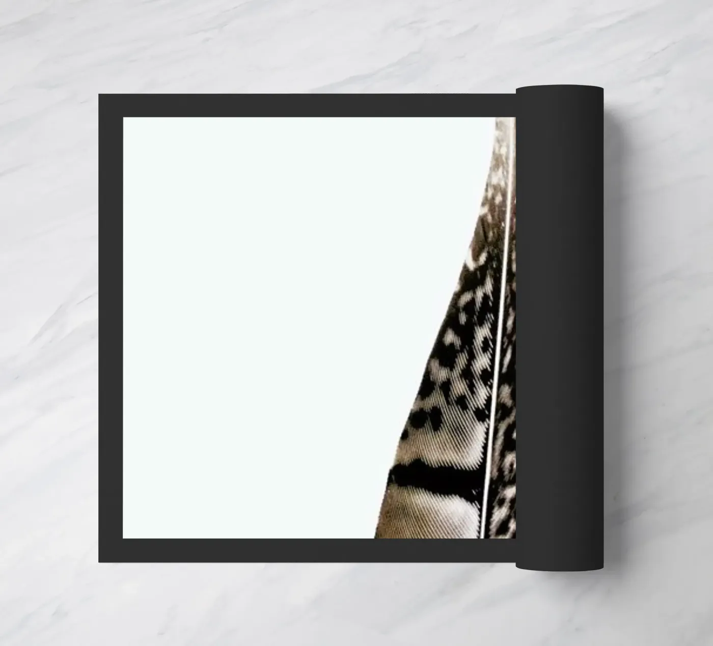 One Feather zerbino da Miles of Light