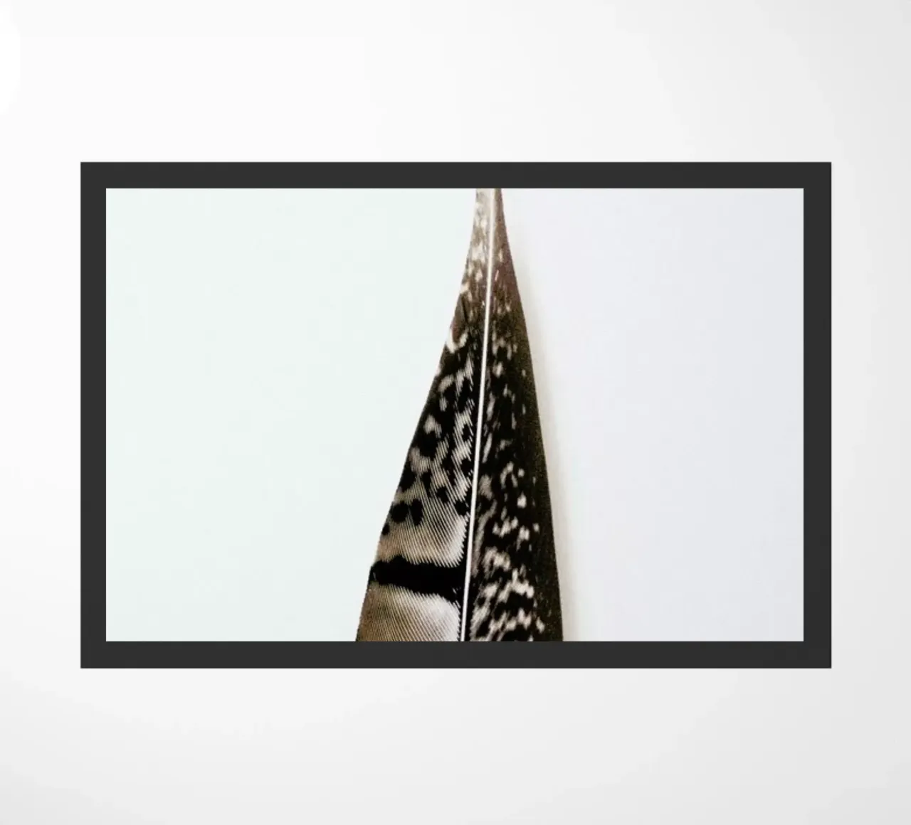 One Feather zerbino da Miles of Light