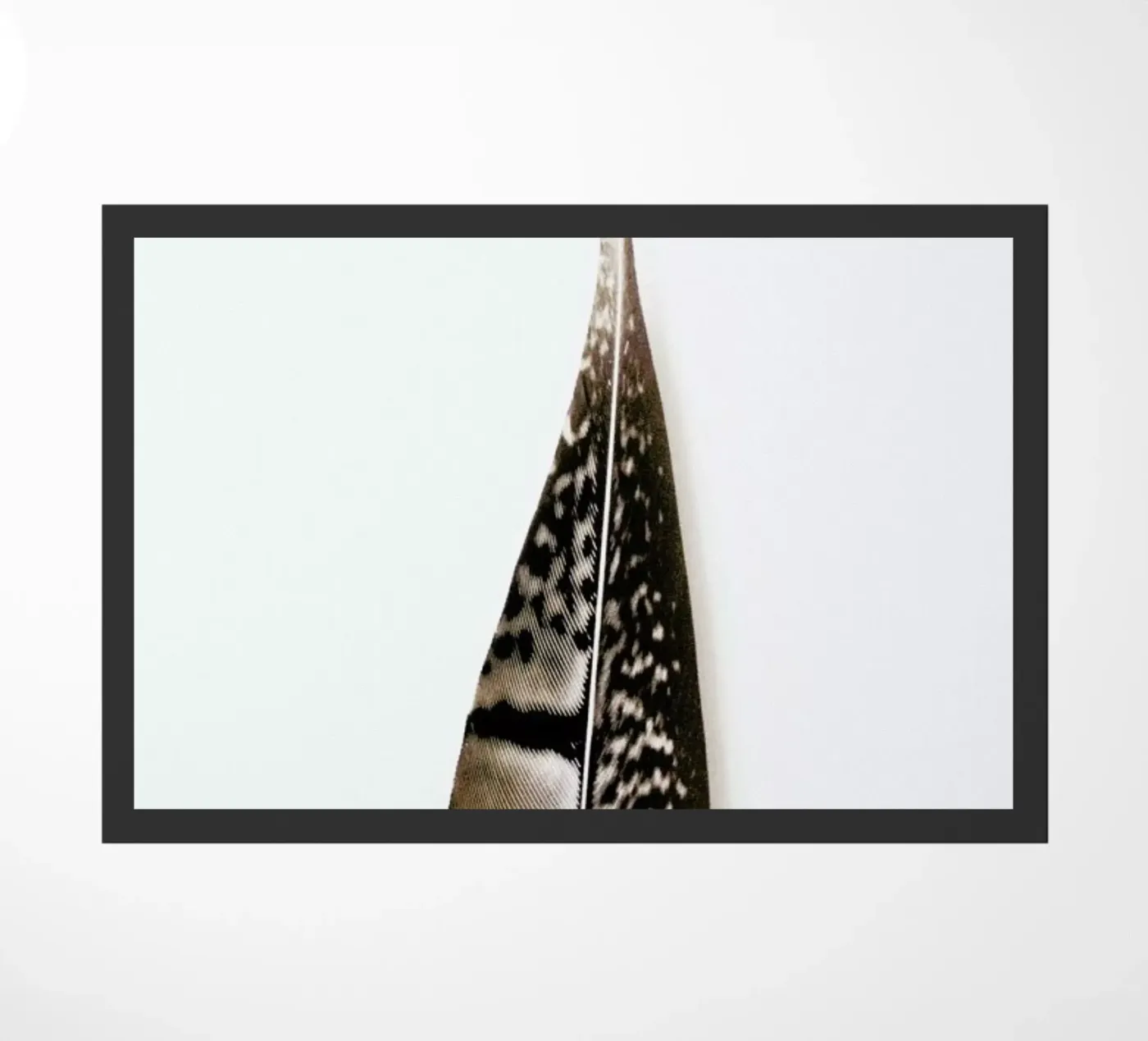 One Feather zerbino da Miles of Light