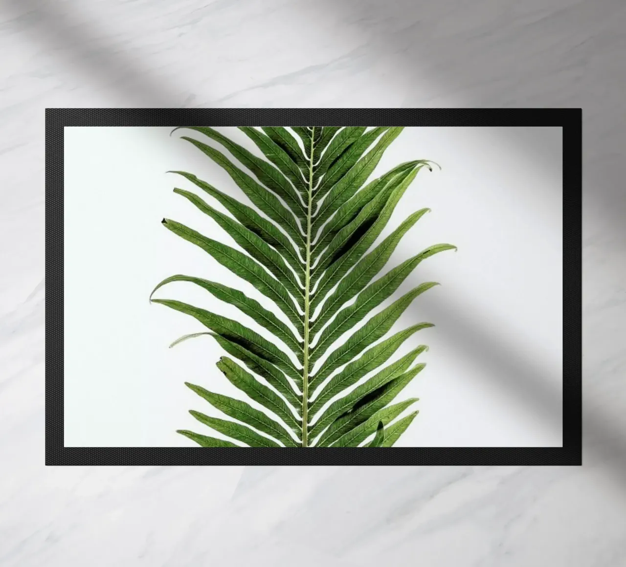 Baobab Leaf zerbino da Shot By Clint