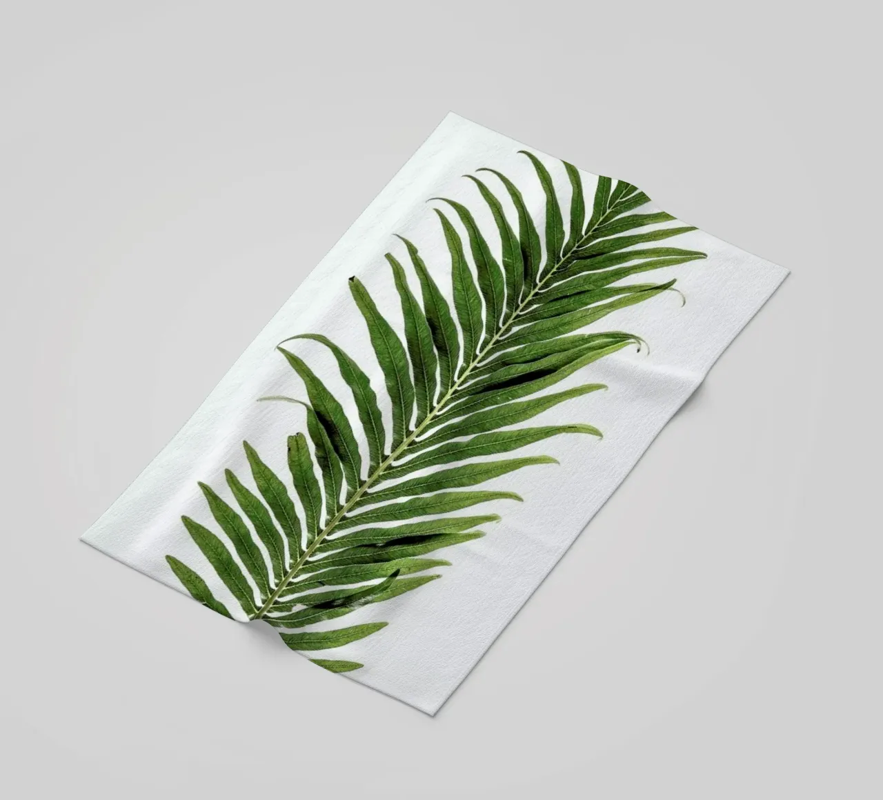 Baobab Leaf telo mare da Shot By Clint