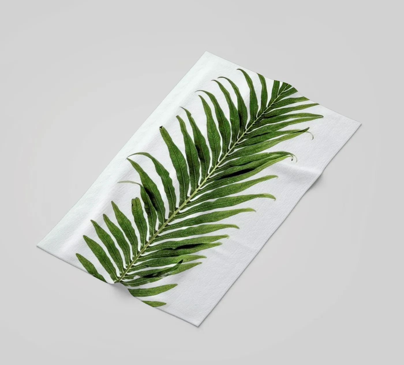Baobab Leaf beach towel by Shot By Clint