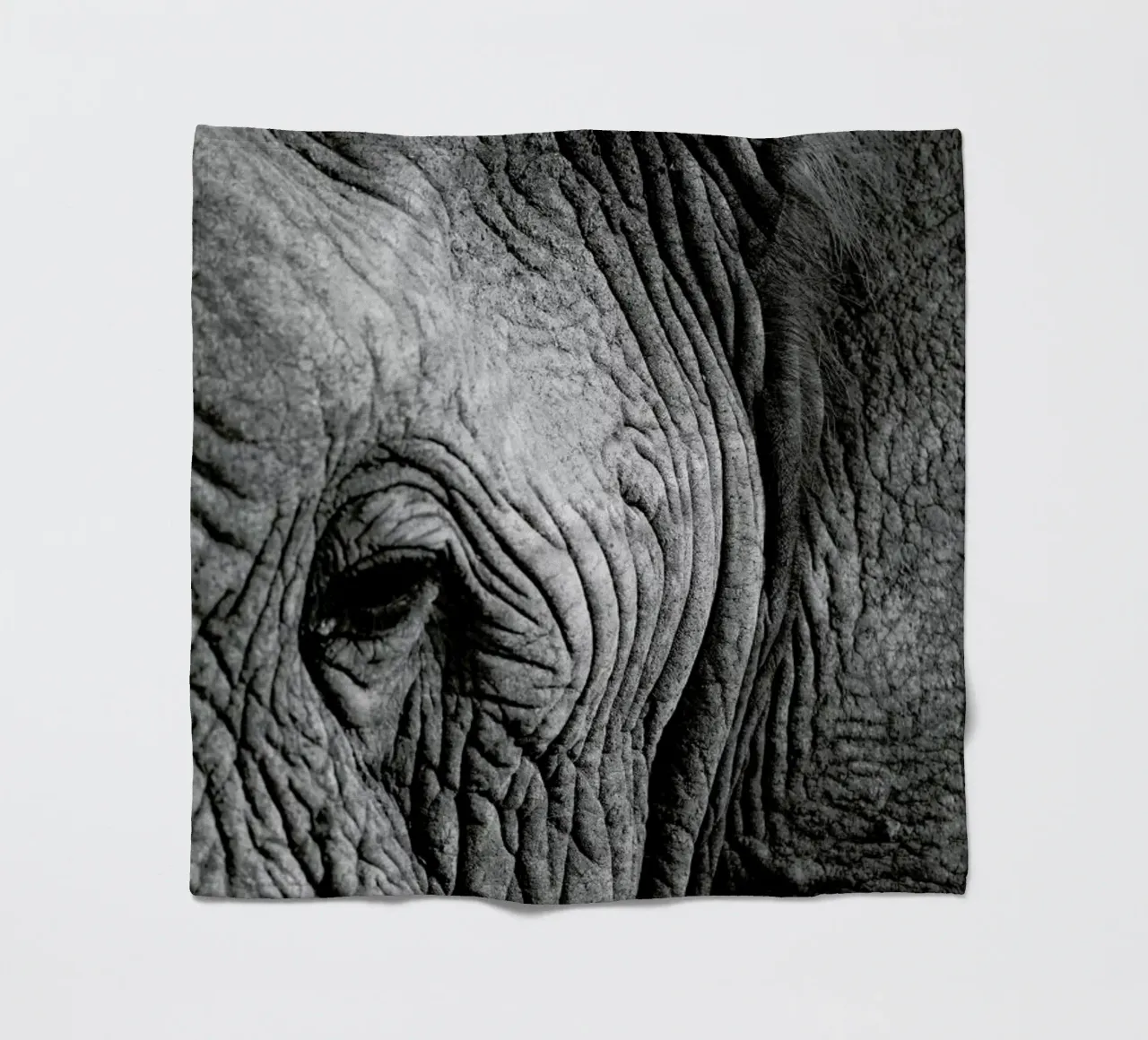 Nambithi Elephant 01 coperta in pile da Shot By Clint