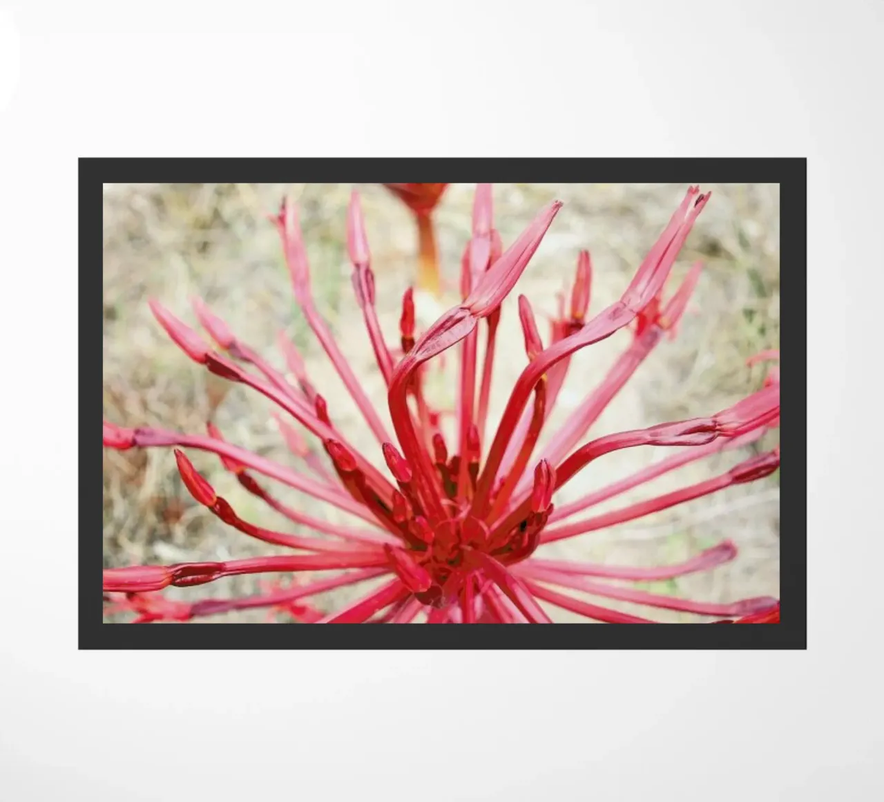 Fire Bulb doormat by Shot By Clint