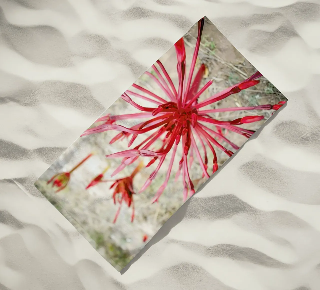 Fire Bulb telo mare da Shot By Clint