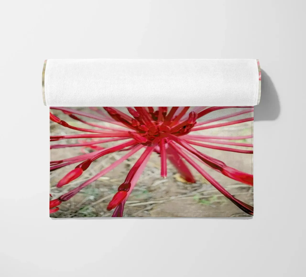 Fire Bulb telo mare da Shot By Clint